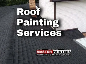 Roof painting with Master Painters London Ontario